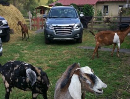 Настоящий рамный полноприводный внедорожник